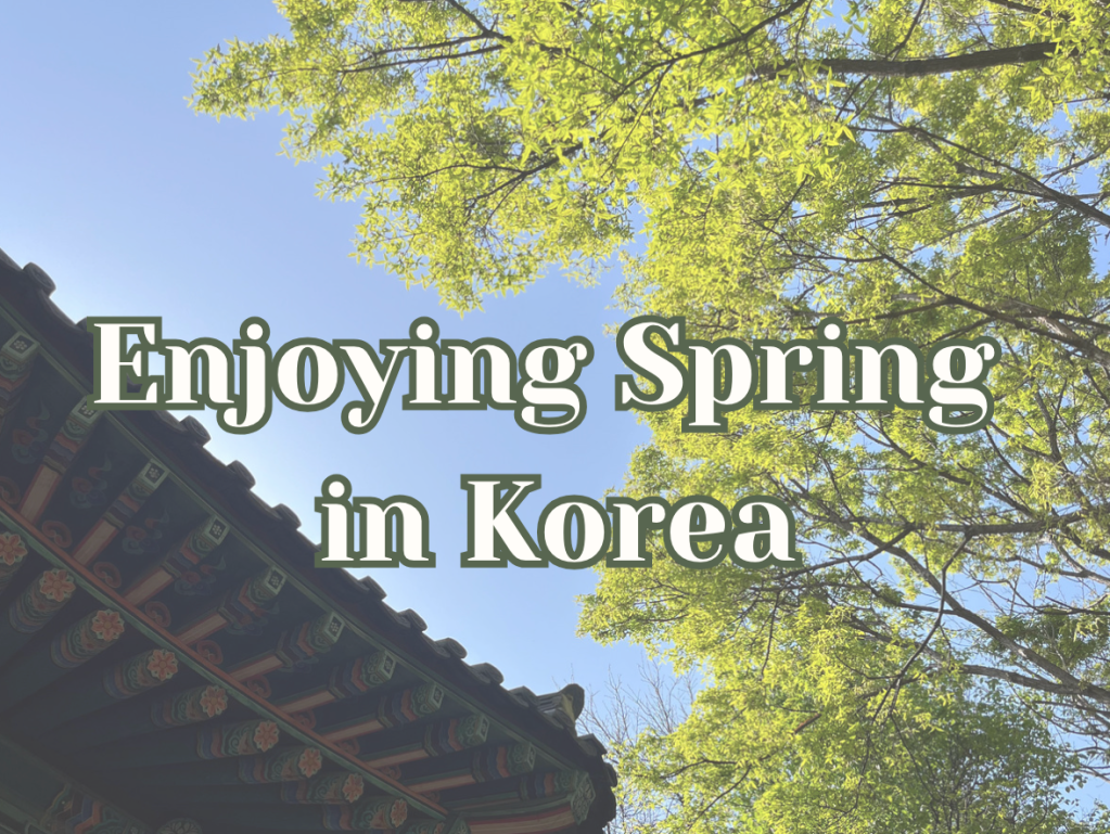 Enjoying Spring in Korea